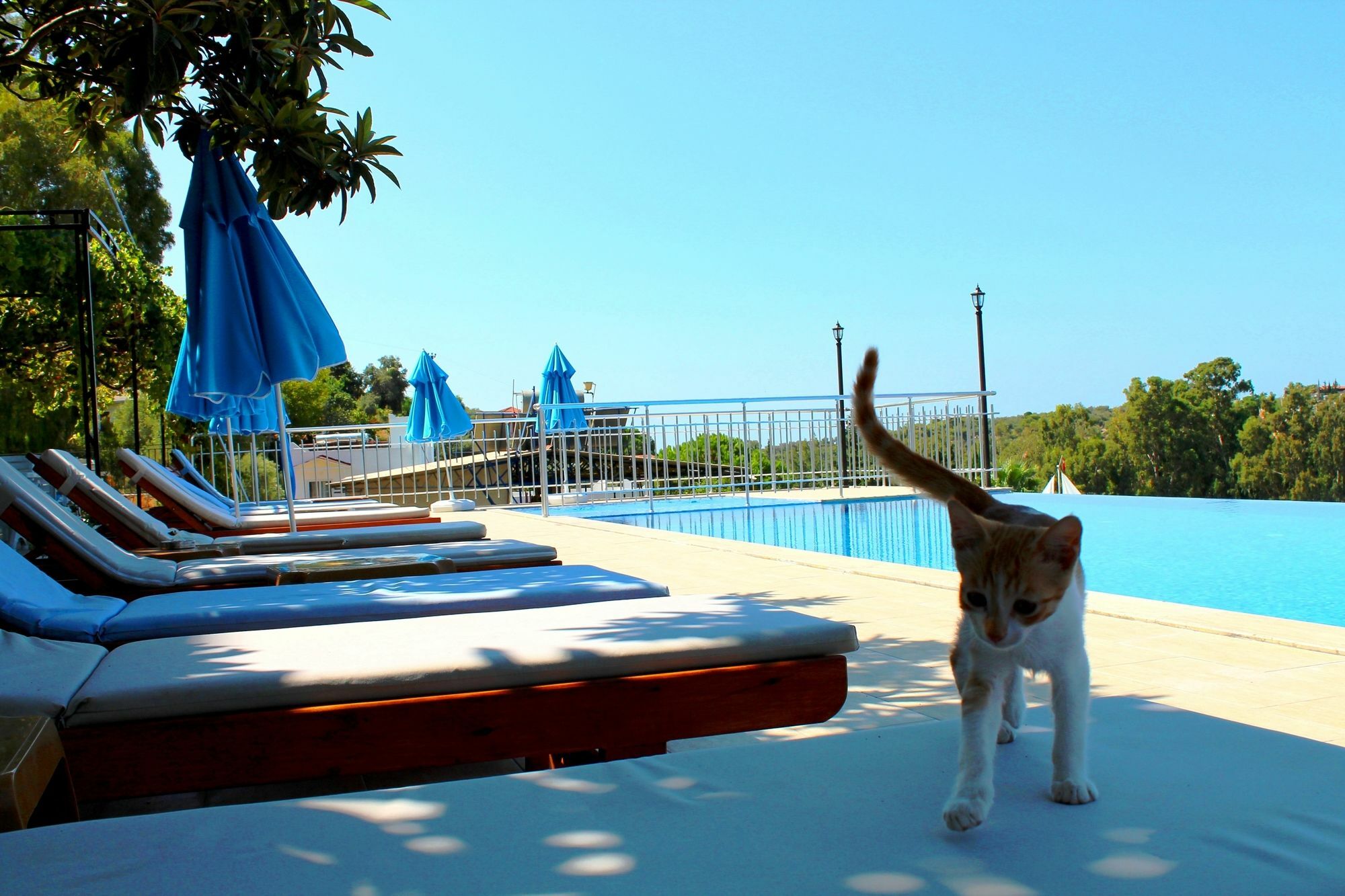 Hotel Patara Sun Club Buitenkant foto